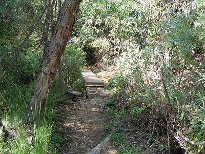 Creek Trail